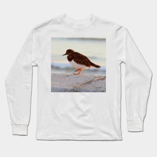 Sandpiper bird enjoying some relaxing time by the sea Long Sleeve T-Shirt